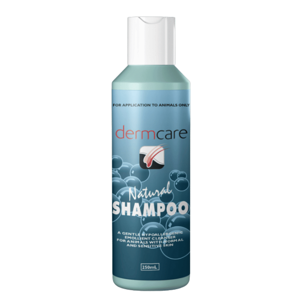 dermcare natural shampoo 250ml