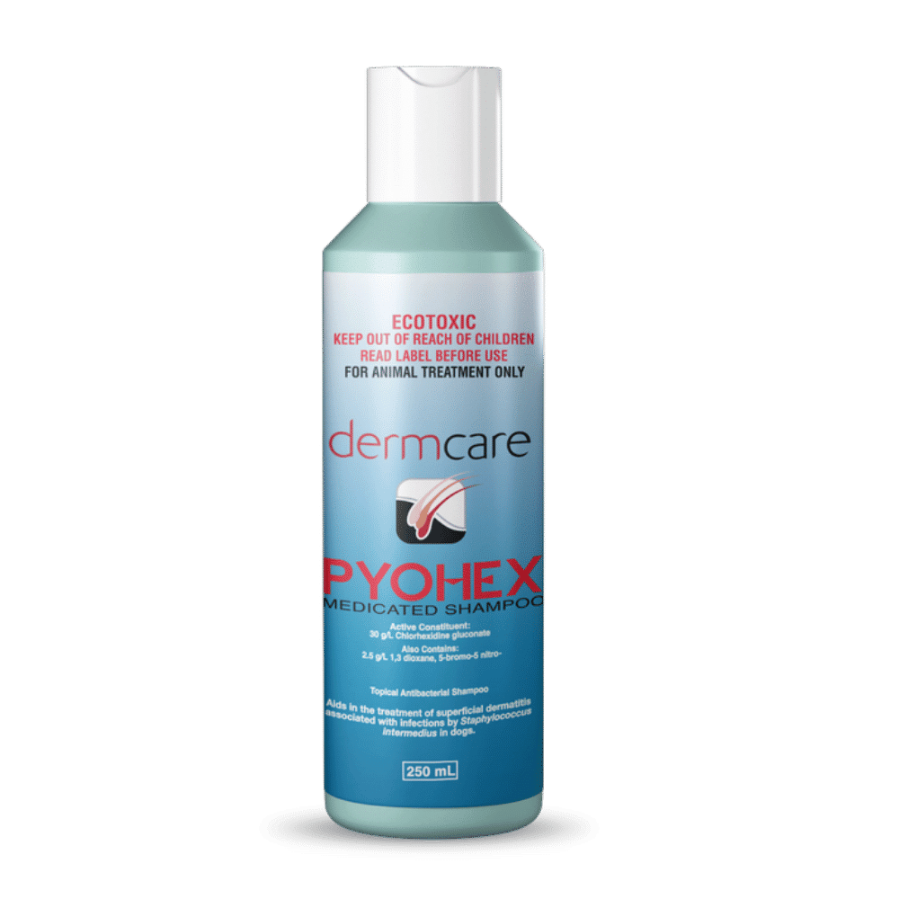 dermcare pyohex medicated shampoo 250ml