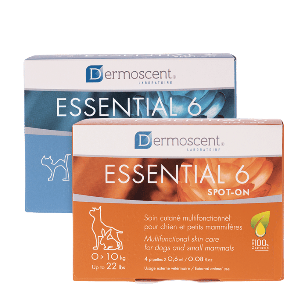 dermoscent essenial 6 spot on