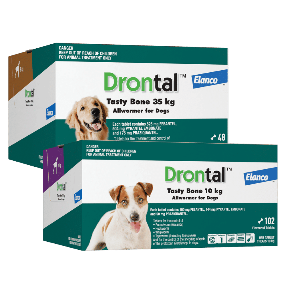drontal tasty bone dog allwormer single tablets