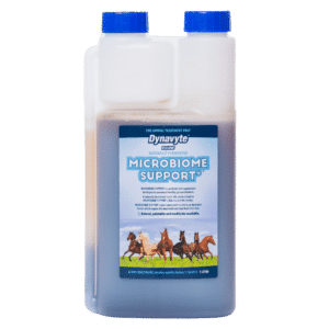 dynavyte equine microbiome support