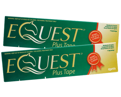 equest
