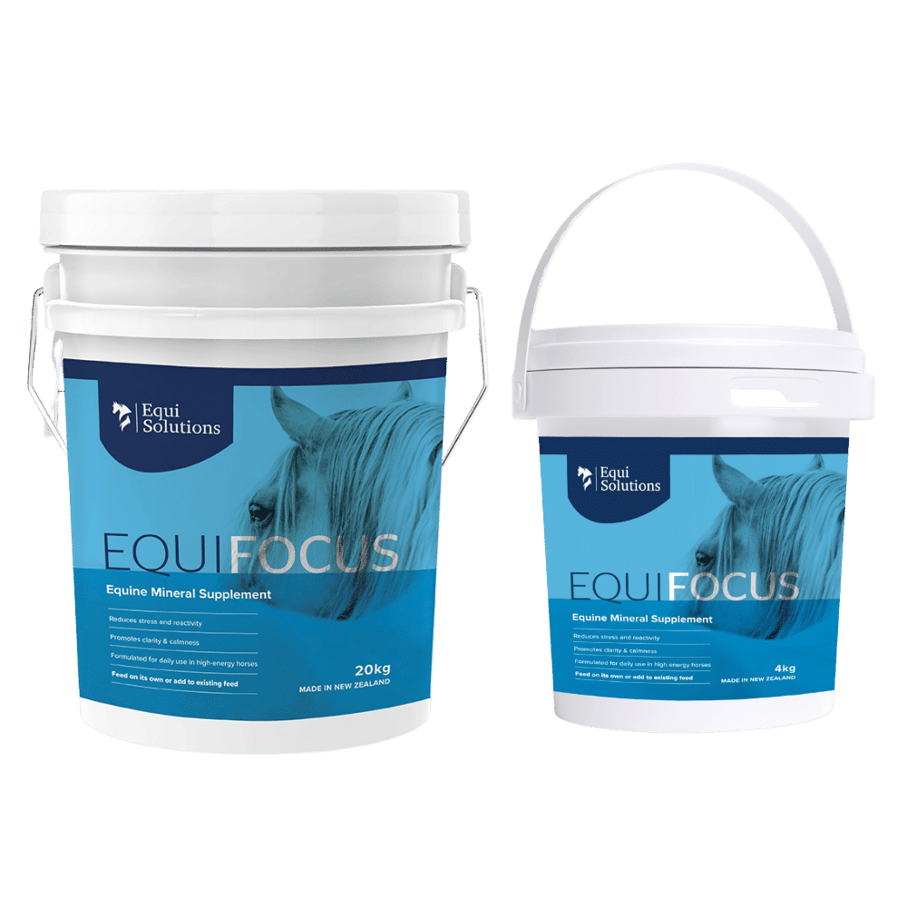 equifocus
