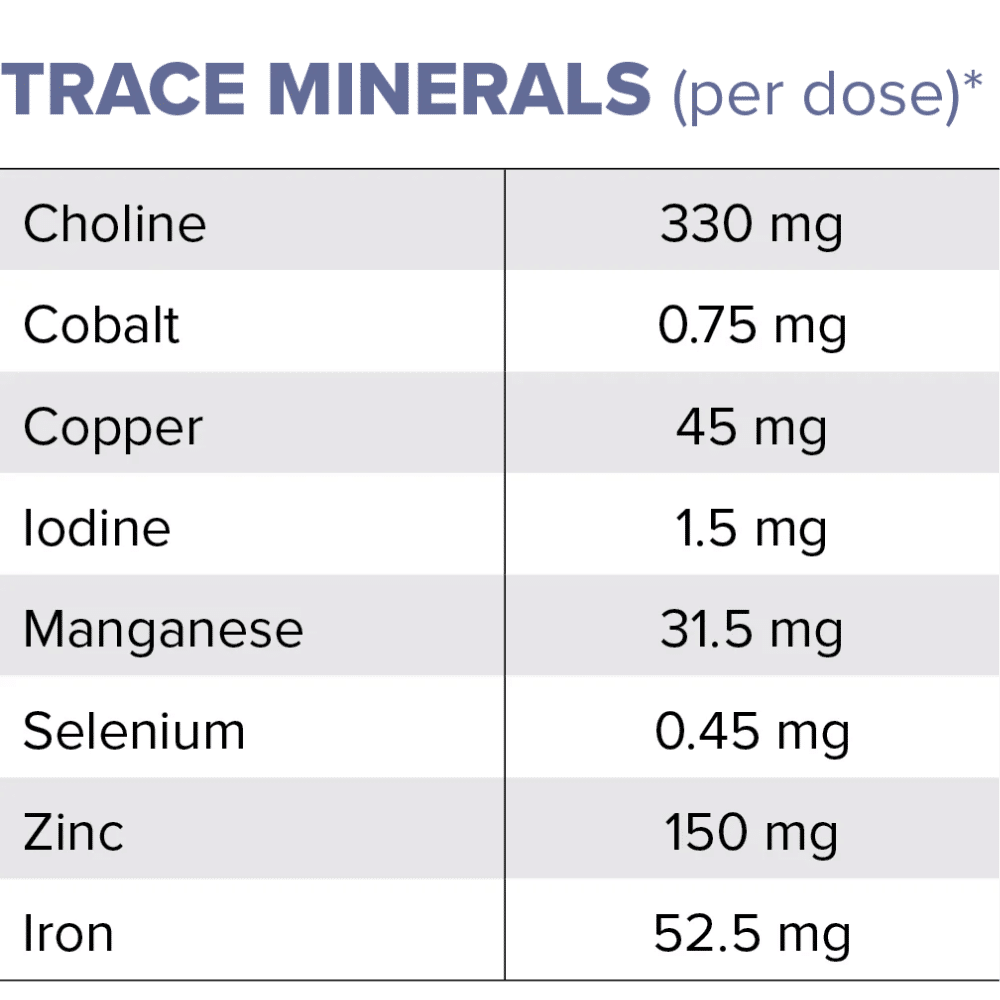 equi-focus-plus-trace-minerals equifocus+