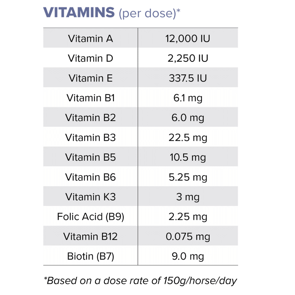 equi-focus-plus-vitamins equifocus+