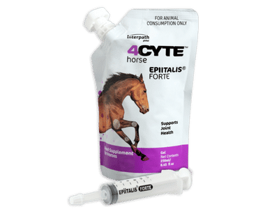 equine 4cyte (1)
