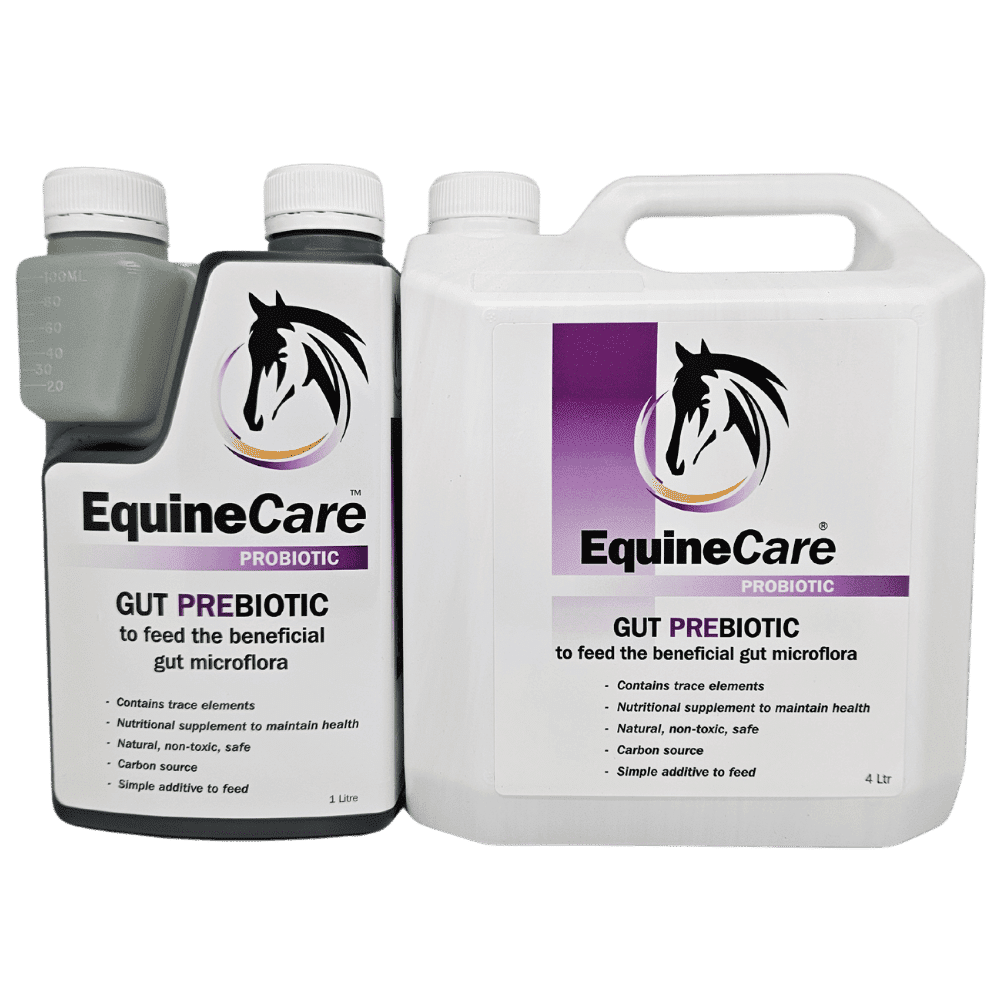 equinecare gut prebiotic