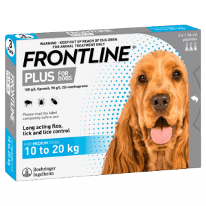 frontline plus medium 10 20kg 3 pack (exp 31/10/25)