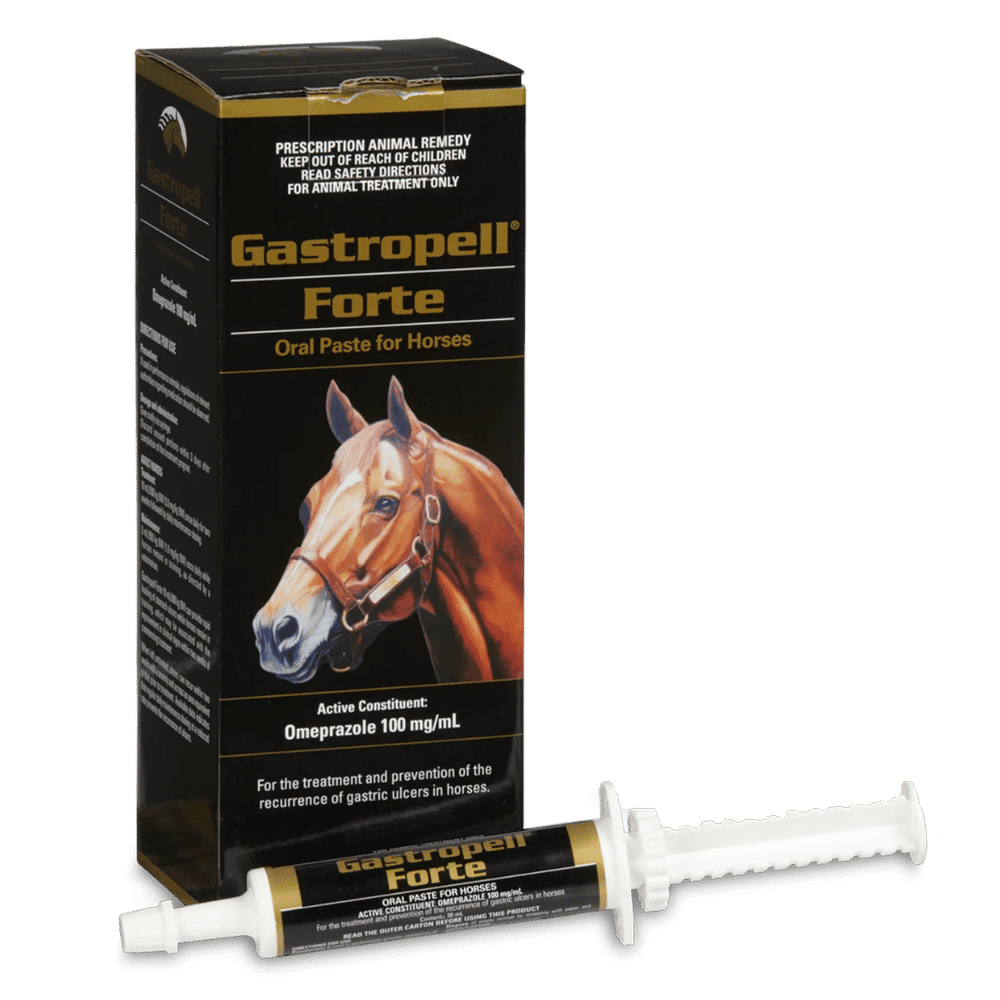 gastropell forte 100mg/ml 5 x 30ml syringes