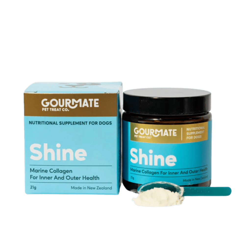 gourmate-shine-png gourmate shine 21g