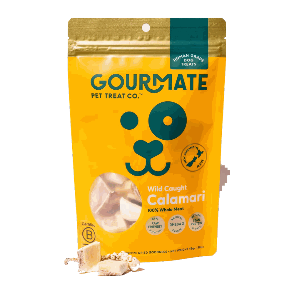 Gourmate Wild Caught Calamari Dog Treats 45g pack