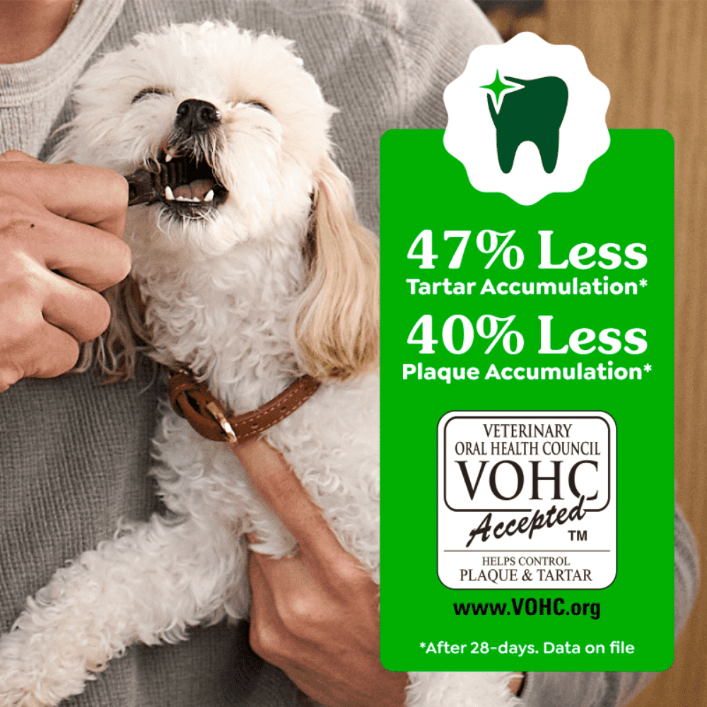 greenies-canine-dental-treats-blueberry-47%-less greenies canine dental treats blueberry teenie (43)