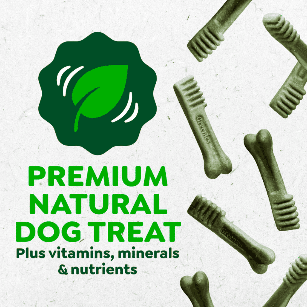 greenies-canine-dental-treats-blueberry-premium greenies canine dental treats blueberry teenie (43)