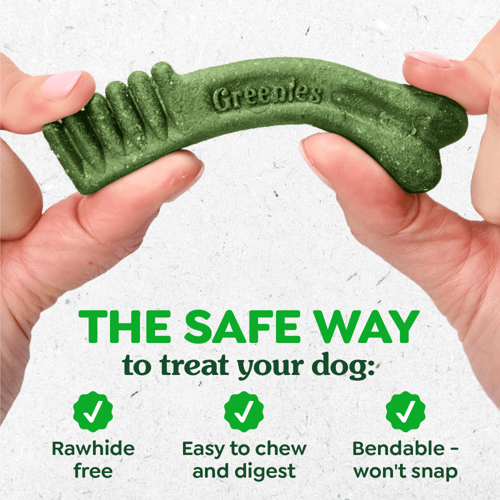greenies-canine-dental-treats-blueberry-safe greenies canine dental treats blueberry teenie (43)