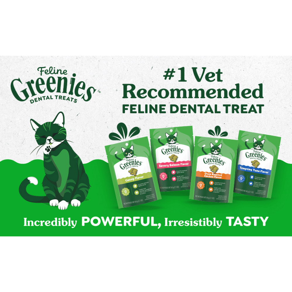 greenies-catnip-cat-dentral-treats-60g-#1 greenies cat dental treats catnip flavour 60g