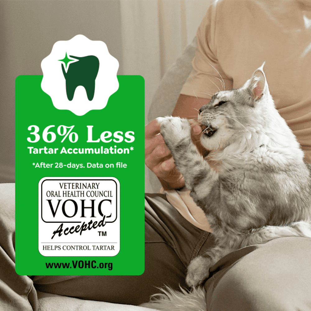 greenies-catnip-cat-dentral-treats-60g-36%less greenies cat dental treats catnip flavour 60g