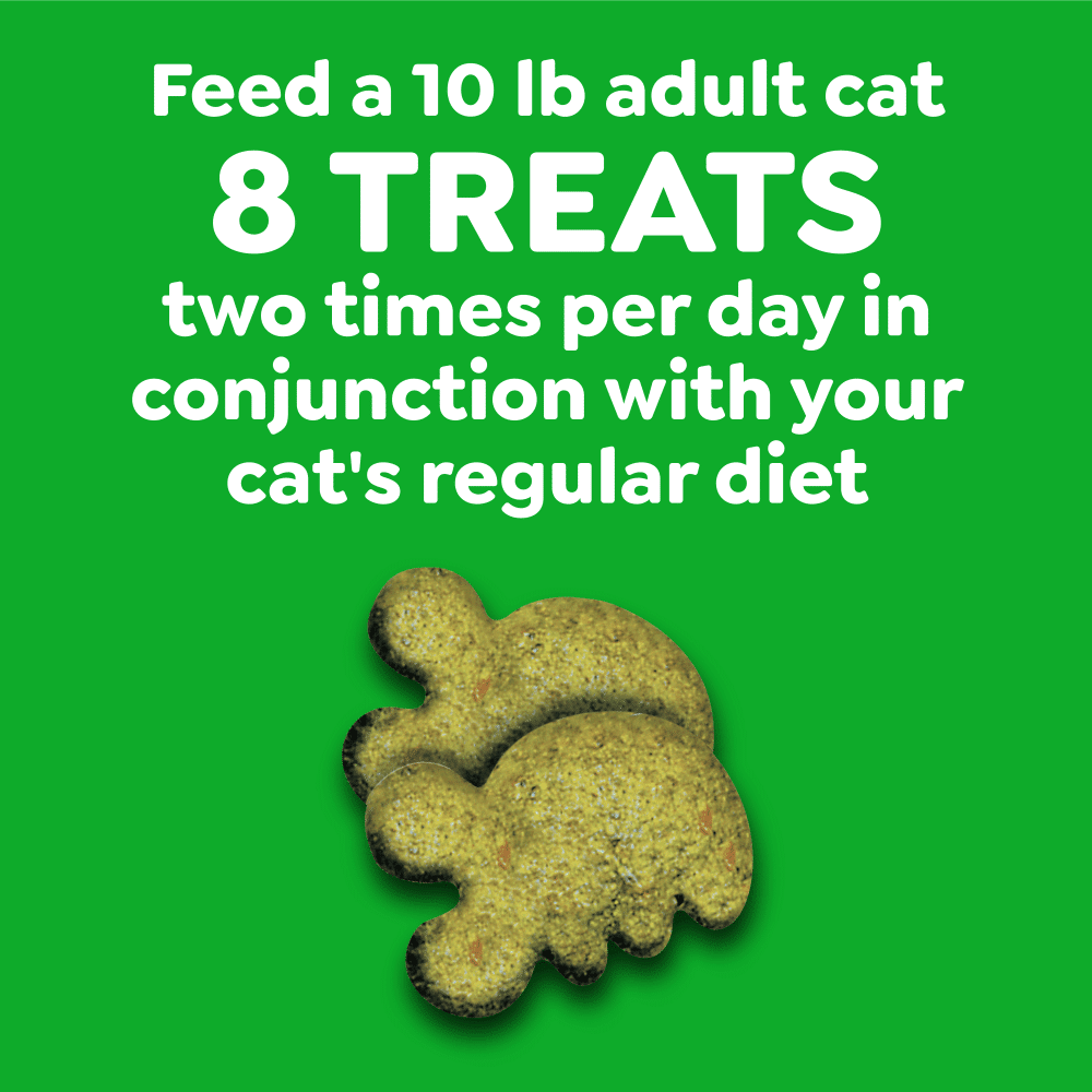 greenies-catnip-cat-dentral-treats-60g-feeding greenies cat dental treats catnip flavour 60g