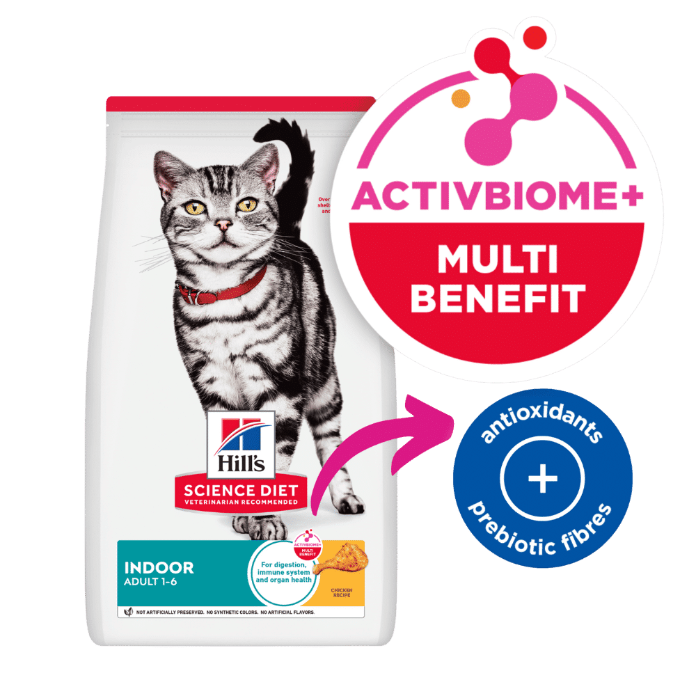 hill-s-science-diet-adult-indoor-dry-cat-food-buy-online-from-vet