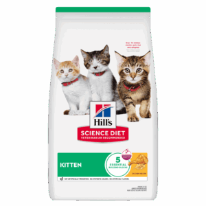 hill's science diet kitten dry cat food