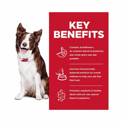 Hill's Science Diet Perfect Digestion Adult Dry Dog Food Buy Online