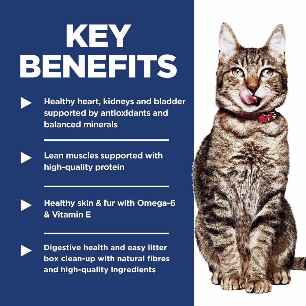 hills_science_diet_cat_7+_1.58kg_dry_food_key_benefits hill's science diet adult 7+ senior indoor chicken recipe dry cat food 1.58kg