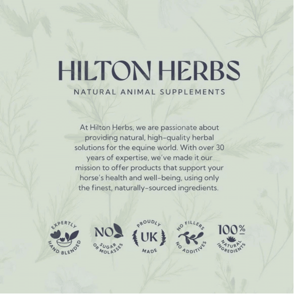 hilton-herbs-bye-bye-itch-2kg-brand-information hilton herbs bye bye itch 2kg