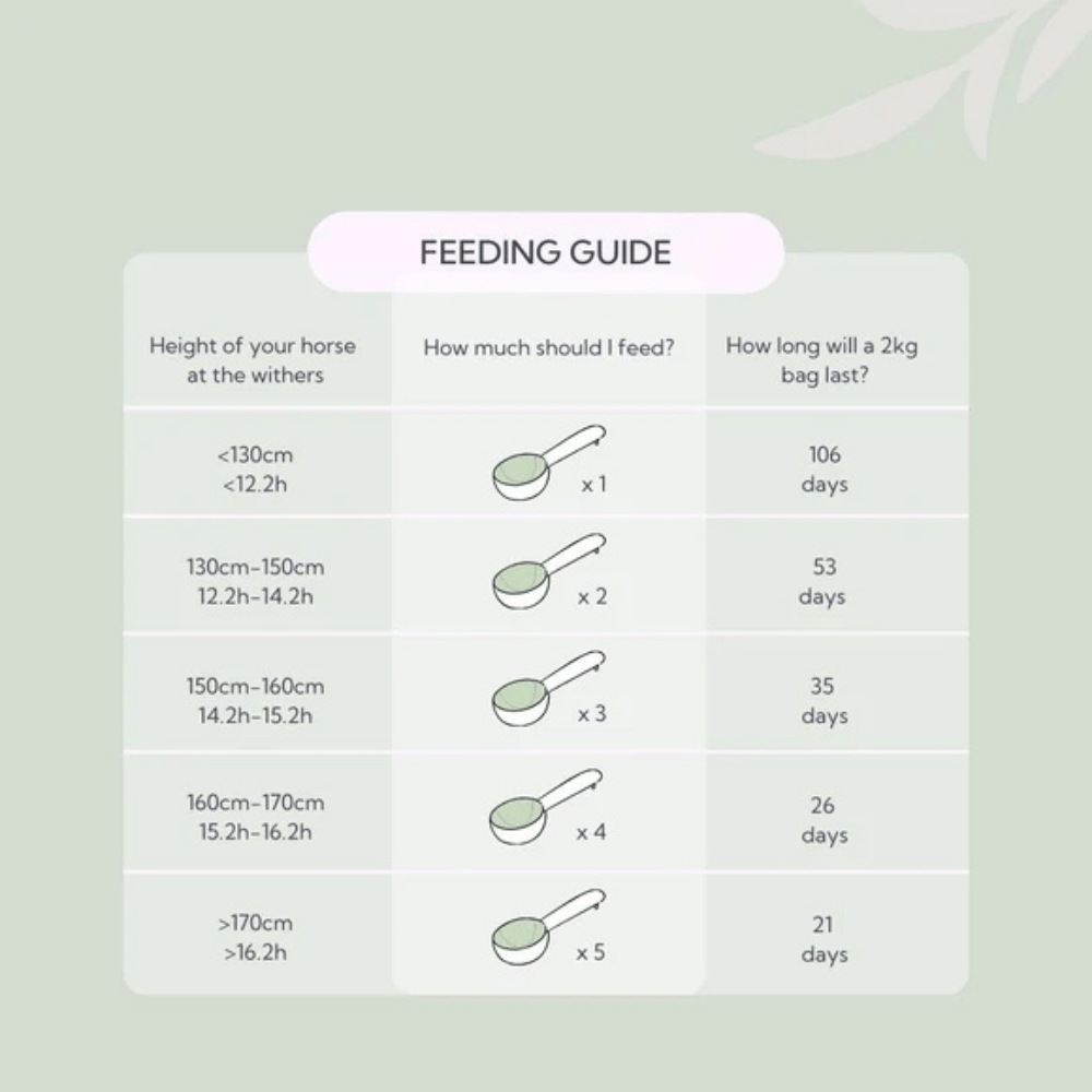 hilton-herbs-bye-bye-itch-2kg-feeding-guide hilton herbs bye bye itch 2kg