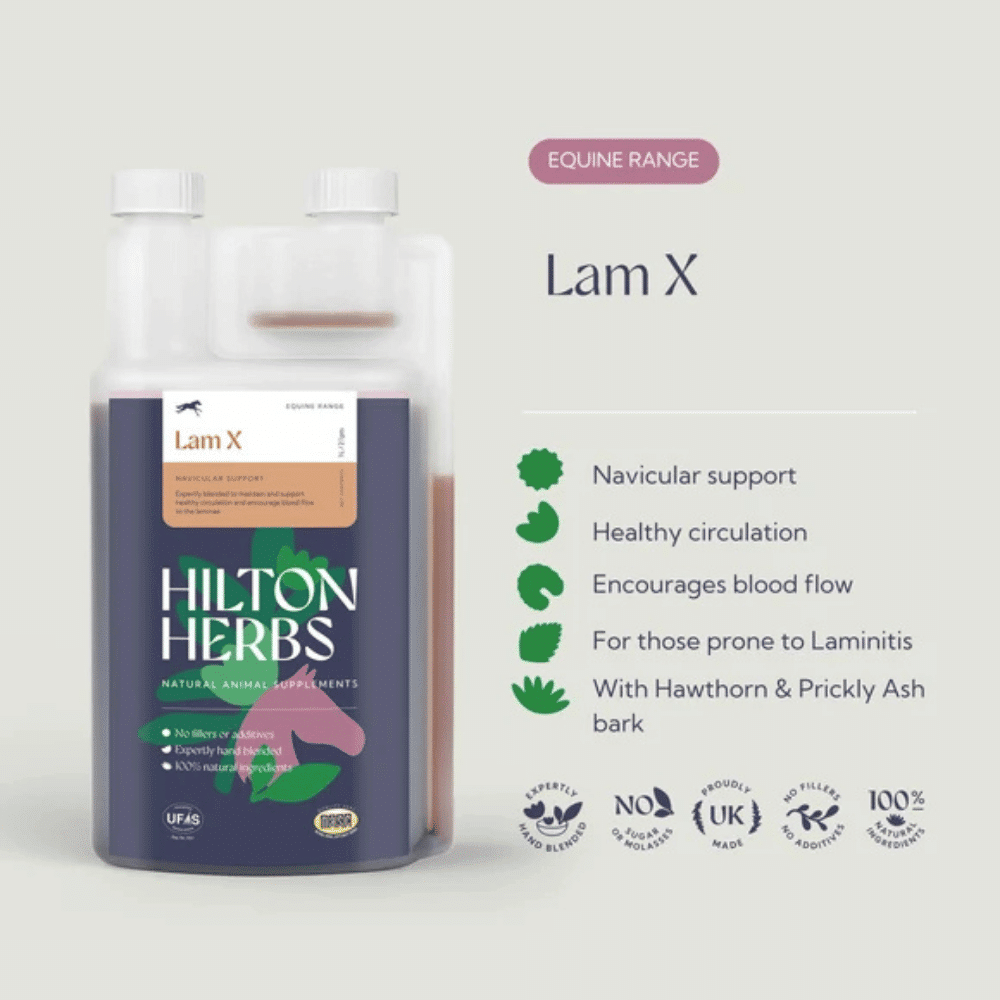 hilton-herbs-lam-x-liquid-1L-benefits hilton herbs lam x liquid 1l