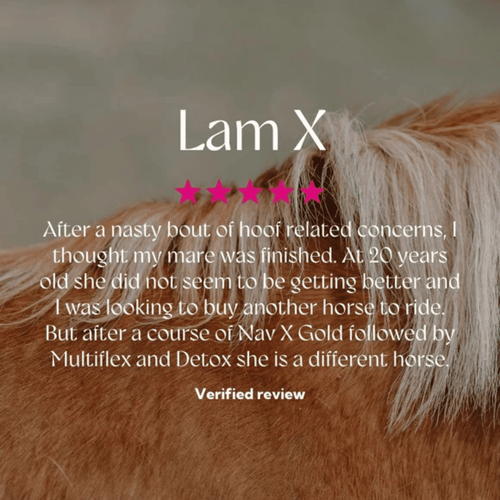 hilton-herbs-lam-x-liquid-1L-review hilton herbs lam x liquid 1l