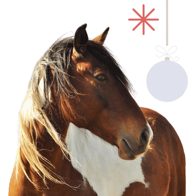 horse
