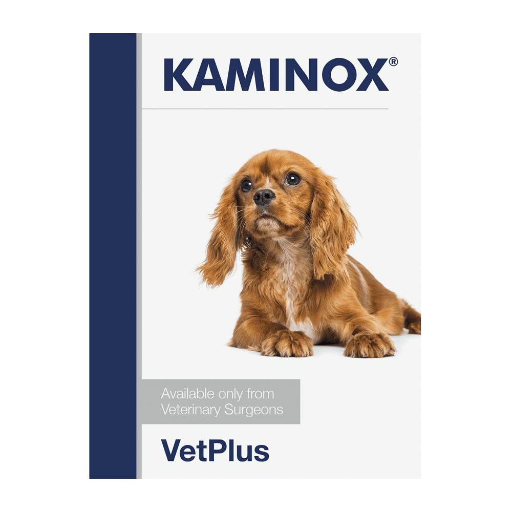 kaminox sachets for dogs 5.4g x 30