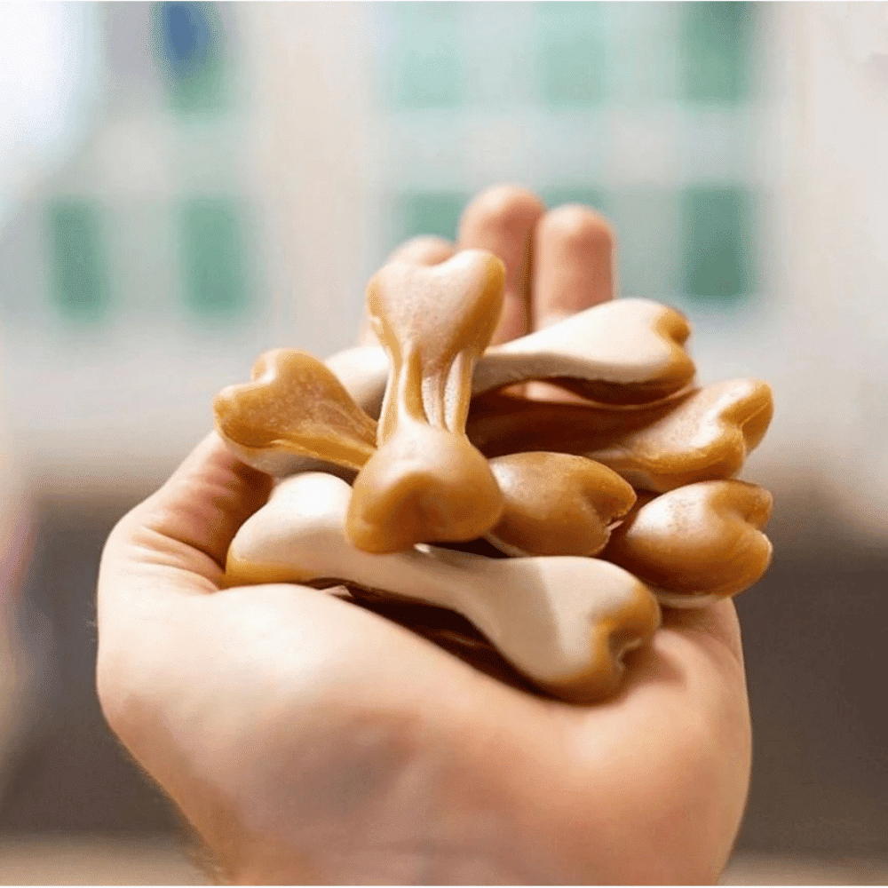 maks-patch-dual-sided-pb-treats-dog-in-hand maks patch peanut butter dual sided bones small dog grab bag 20 pieces