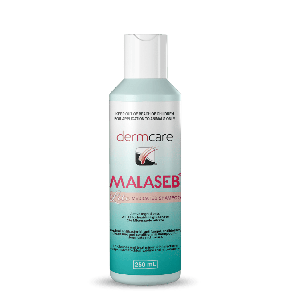 Antifungal Shampoo Malaseb Shampoo Petsmart Dog Grooming Epi
