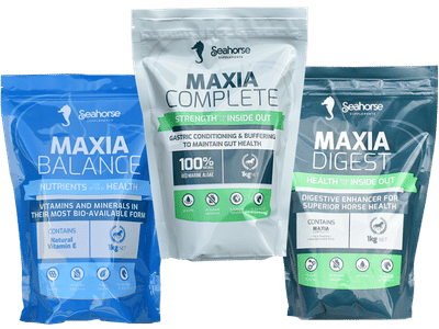 maxia (2)