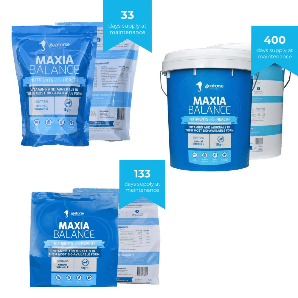 maxia balance