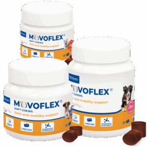 movoflex soft chews joint and mobility support for dogs 30 pack
