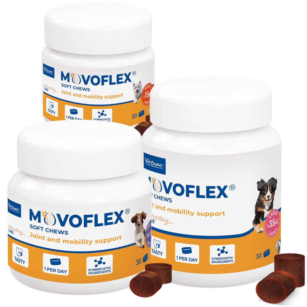 movoflex soft chews joint and mobility support for dogs 30 pack