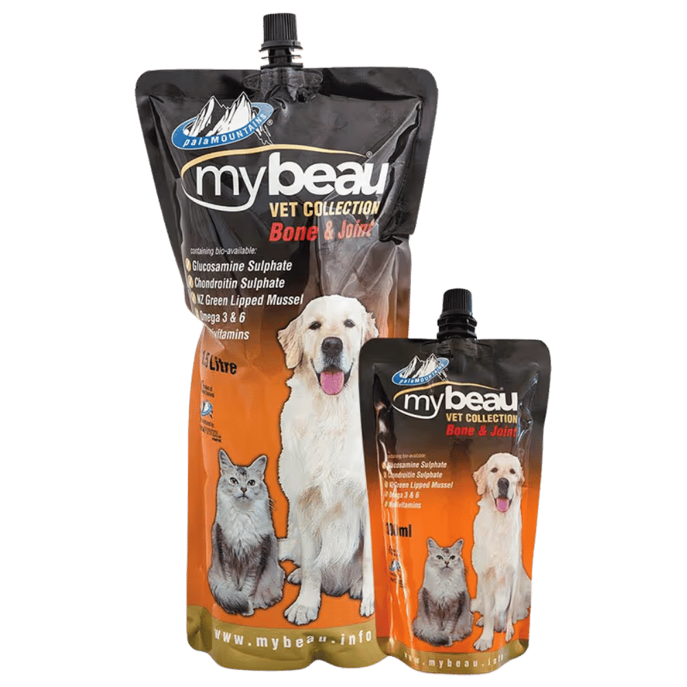 mybeau bone and joint