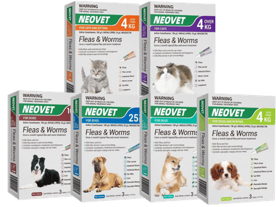 neovet