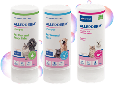 new allerderm