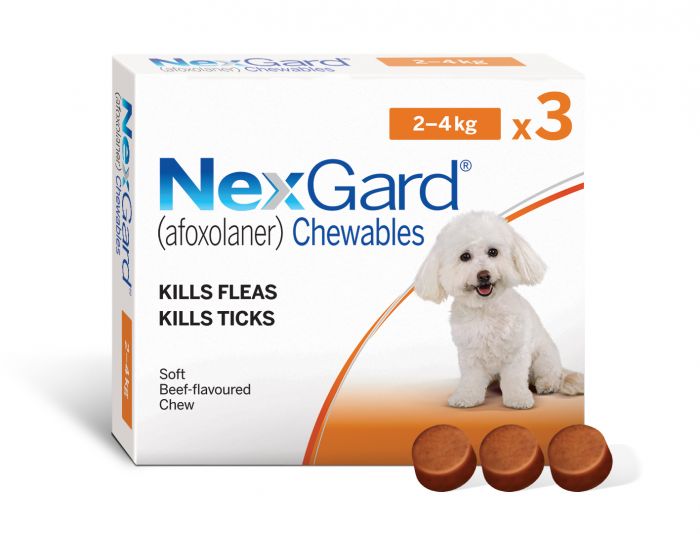 Nexgard Dog Chew XSmall 24kg 3 pack Buy Online from Vet Post NZ