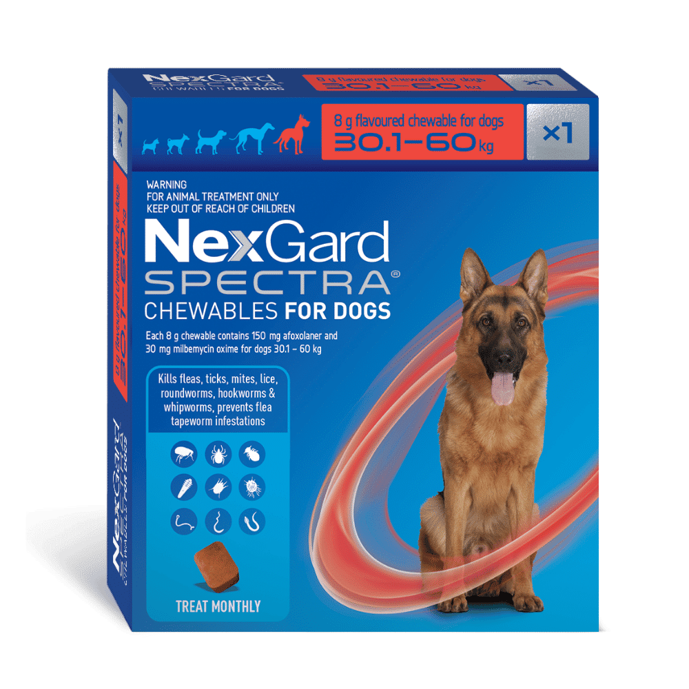 nexgard spectra 30.1 60kg single