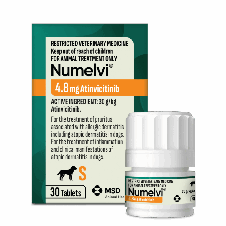 Numelvi Tablets 4.8mg | Dog Pain Relief | Vetpost