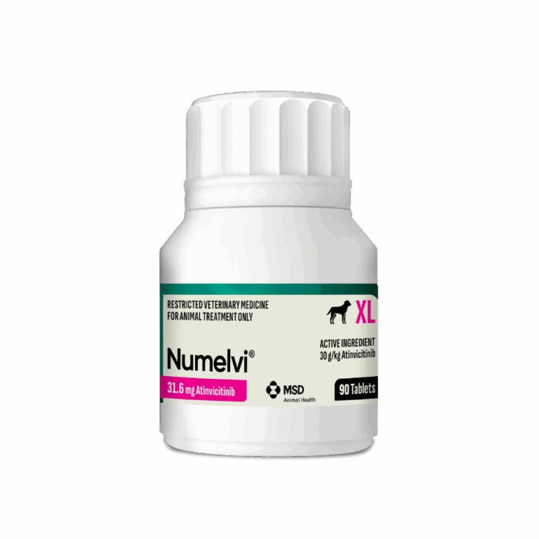 Numelvi Tablets 21.6mg | Dog Pain Relief | Vetpost