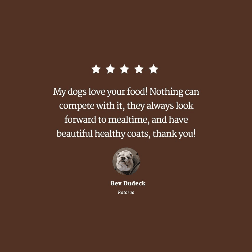 orijen-regional-red-dog-dry-dog-food-review orijen regional red dry dog food 2kg
