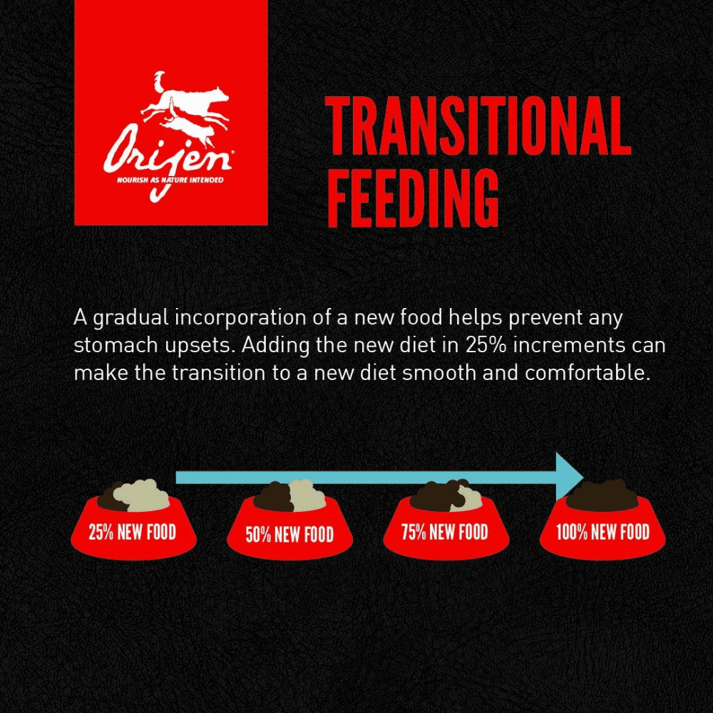 orijen-regional-red-dog-dry-dog-food-transitional orijen regional red dry dog food 2kg