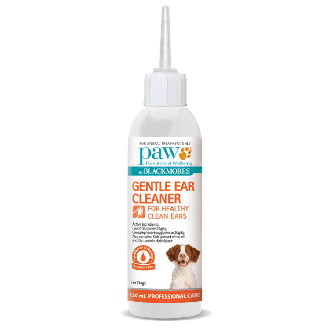 What's the best ear cleaner for my dog? Vet Post