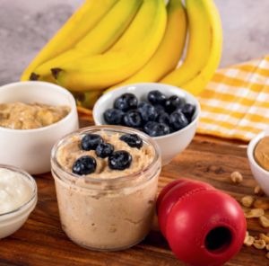 peanut0butter parfait kong