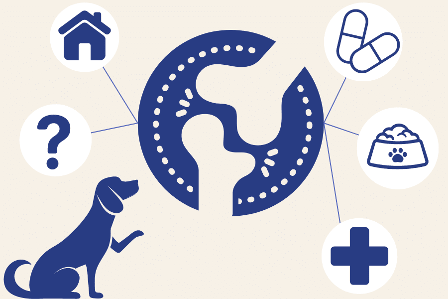 pet arthritis hub (1)