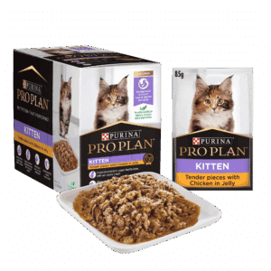 pro plan kitten wet cat chicken in jelly 12 x 85g